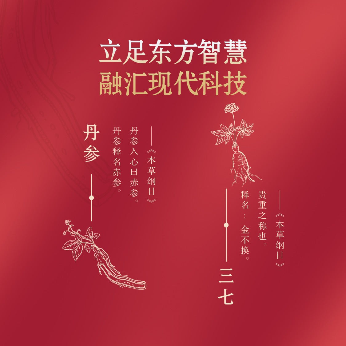 Oriherb B-Circulation Aid Capsule