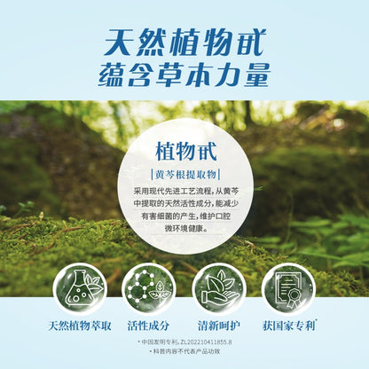 PHYTOCARE Whitening & Stain-Removing Toothpaste (2.0)