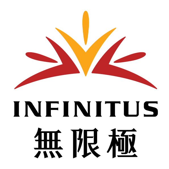INFINITUS GLOBAL INNOVATIONS LIMITED